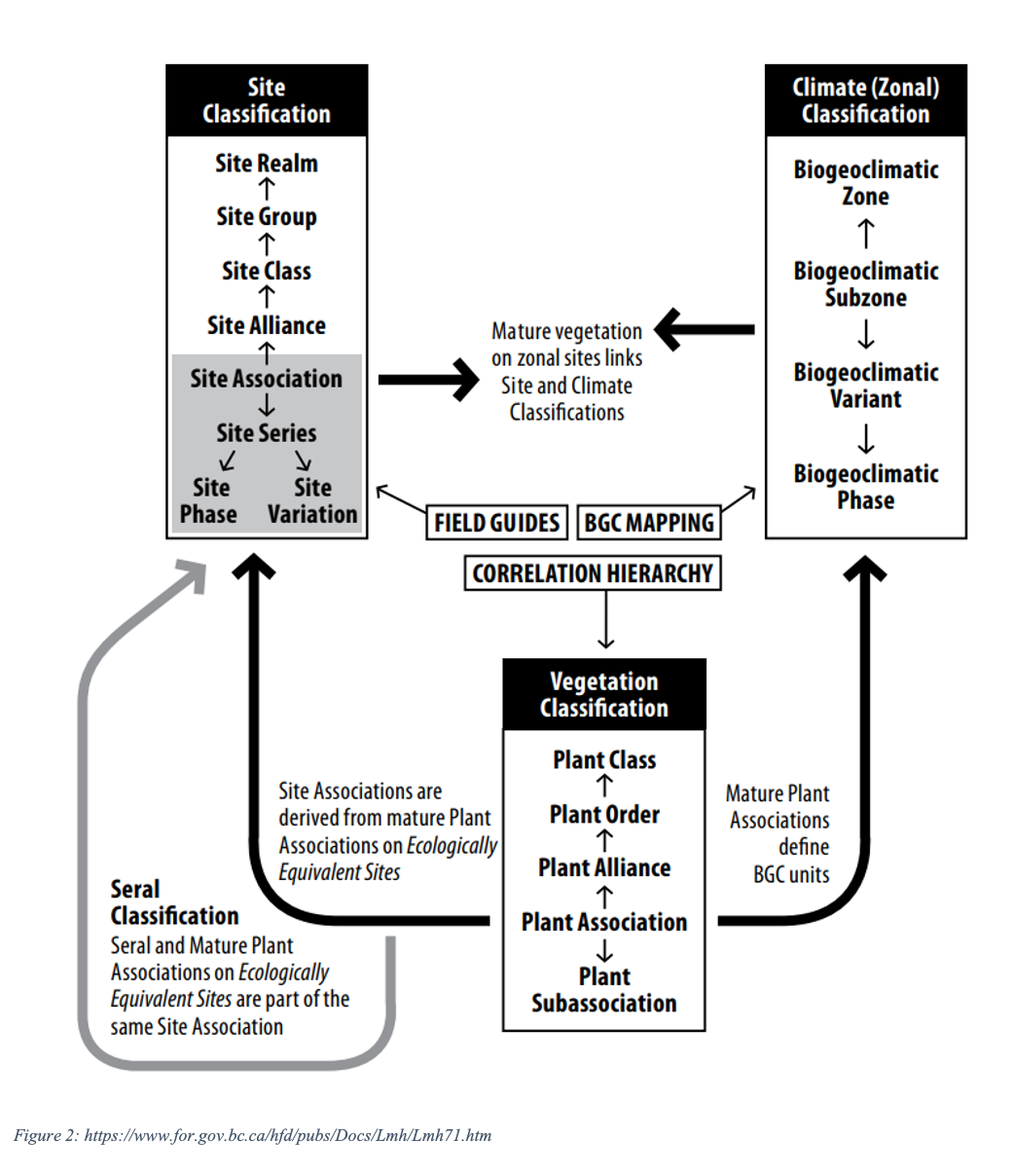 Site Classification